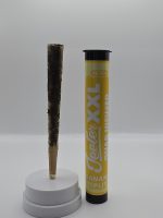 Teeter XXL Quad Infused Pre-Roll 2.5g - Image 3